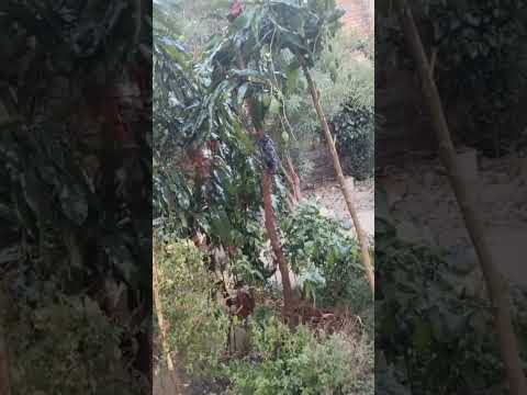 #dailyroutinevlog #midhuna