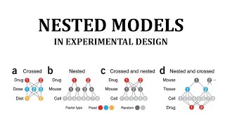 Nested Design in Experimental design. Theory, Example and calculations step by step.