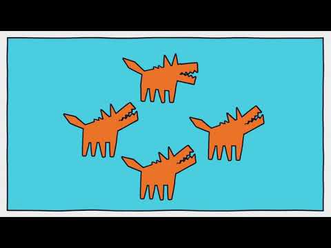 A brief history of dogs 1