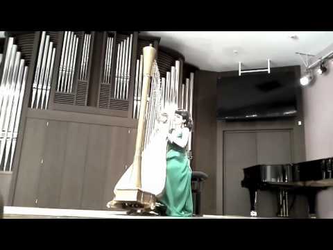 M.Mchedelov - Variations on Paganini theme