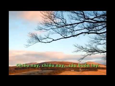 Tương tư - Trần Cao