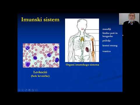 Kronična Vnetja - Tihi Ubijalci (Predvanje dr.Iztoka Ostana, Feb. 22)