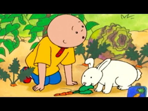Caillou and the Bunny | Caillou Cartoon
