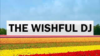 Iman Omari - Move Too Fast (feat. Anna Wise)