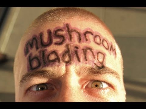 MB1 - Mushroom Blading (2008)