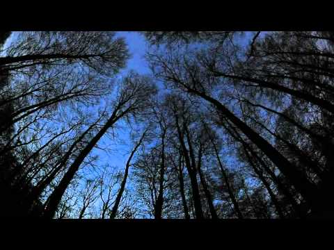 Mt. Eden , Ruby Frost - Oh that i had