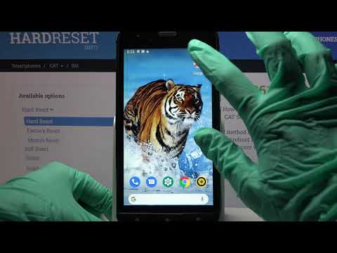 How to Turn On & Off Auto Rotation in CAT S61?