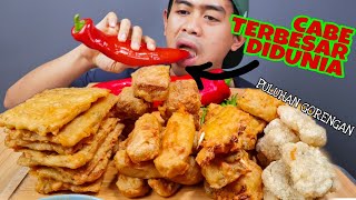 Download lagu MUKBANG PULUHAN GORENGAN ABANG2 PAKE CABE TERBESAR DIDUNIA! mp3