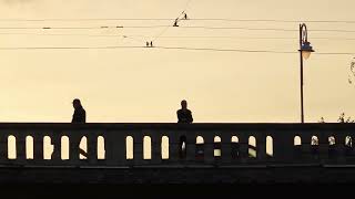 NIGHT AWAKE, I WONDER [SILHOUETTES VIDEO]