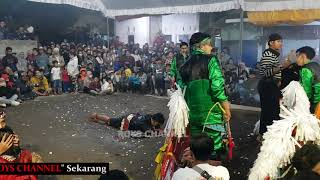 Download lagu full celeng srenggi kabruk kepang - Jaranan Putra Melati live malang 2021 mp3