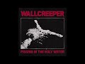 Wallcreeper Pissing In The Holy Water 2023 Full Album