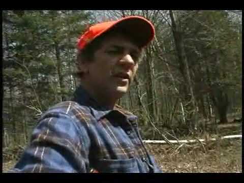 How to Aim a Shotgun