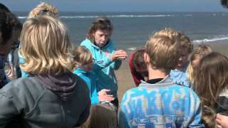preview picture of video 'Film Korren op het strand van Bergen aan Zee.mp4'