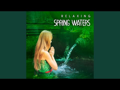 Forest Stream In Autumn