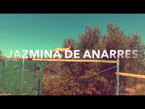 Perros de Agua Español. TRABAJO en andamio [Criadero UBBADAT]