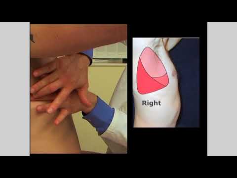 Percussion of the lungs | Respiratory Examination