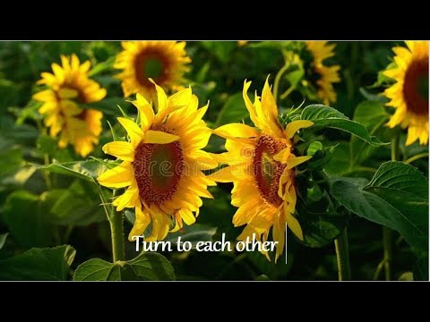 Vidya Chikte -  Mindful Dedication to all the teachers - (Planting Seeds of Mindfulness)