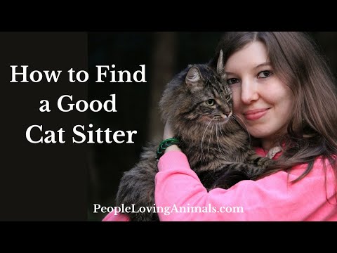 How to Find a Good Cat Sitter - Making Sure Your Cat is OK While You're Away