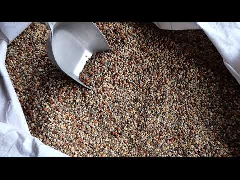 Zwischenfruchtmischung selber zusammenstellen