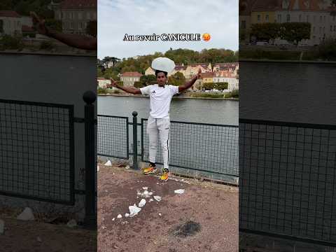 AU REVOIR CANICULE à l’année prochaine #shortvideo #humour