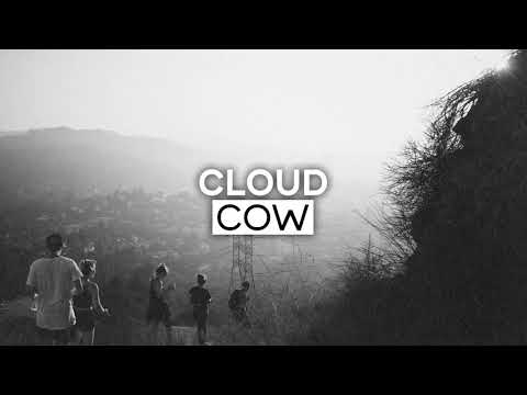 Λdonis - Camaro N' Shrimp