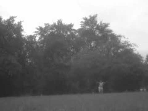 Evolution sampler part 1