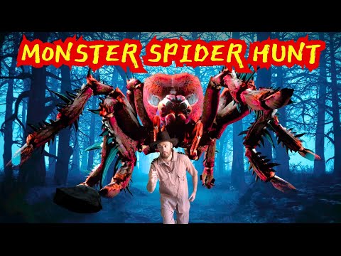 We're Going on a Monster Spider Hunt | Bear Hunt | Nursery Rhymes | Videos for Children