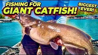 Fishing for GIANT CATFISH! I caught my new PB! TWICE!!!
