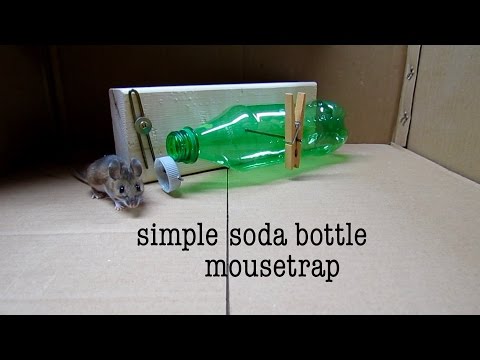 What is a humane mouse trap, and why does it matter?