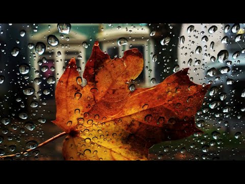 OH SO SHORT: Shortest Vlog Yet #Vloguary 2