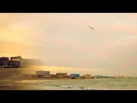 Daniel Iordăchioaie, Mă ntorc la tine Mare Albastră