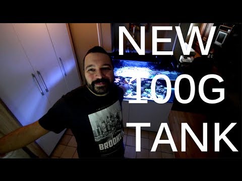 NEW 100 GALLON TANK | REEF TANK VLOG_048