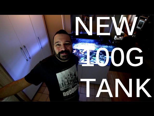 NEW 100 GALLON TANK | REEF TANK VLOG_048