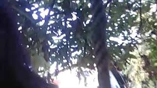 Download lagu Isma sane sepi cover mp3