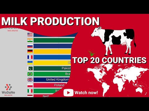 TOP 20 countries by Milk production