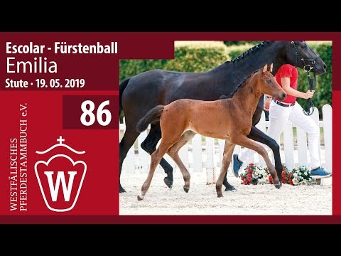 86 Emilia Stute v. Escolar - Fürstenball