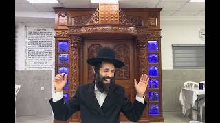 הרב ישראל שריקי - כשיש לנו אמונה וביטחון אנחנו מוגנים מכל הצרות! ● שיעור חזק ביותר!