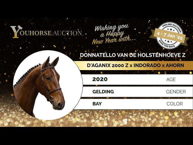 Donnatello van de Holstenhoeve Z