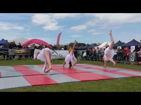 Waterloo Festival 2019 Trio 1st Place Performers