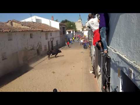 En cierro dé Torres de la Alameda