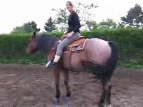 comment monter western