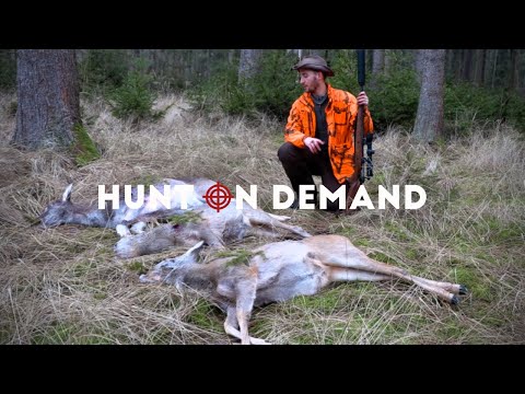 Drückjagd im Osten & Westen - Huntingroom Hunt on Demand Trailer