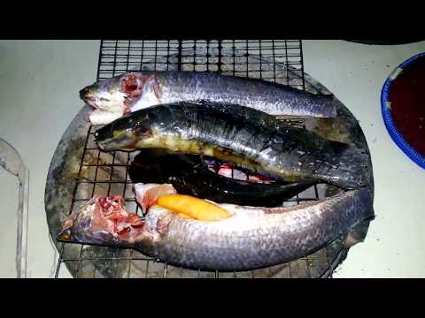 Asian Travel - Buying Fish From The Central Market In Battambang For Dinner
