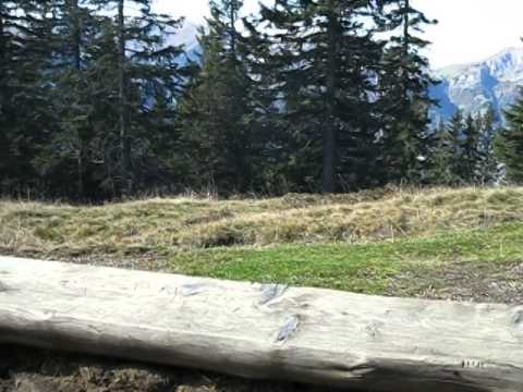 Schweizer Familie Feuerstelle - Attinghausen