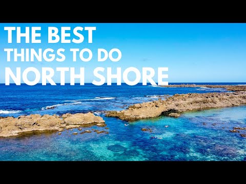 Oahu’s North Shore Things to Do for a Perfect Day | North Shore Beaches, Snorkeling, & Shrimp Trucks