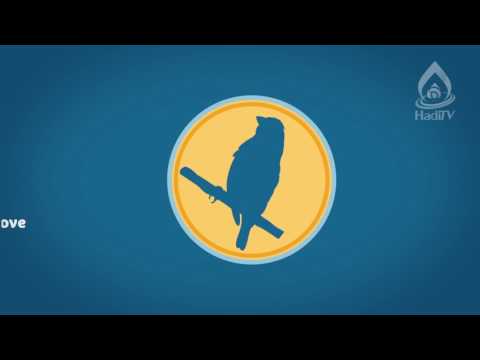 AHKAM in Minutes-Najis Things-Imam Ali College