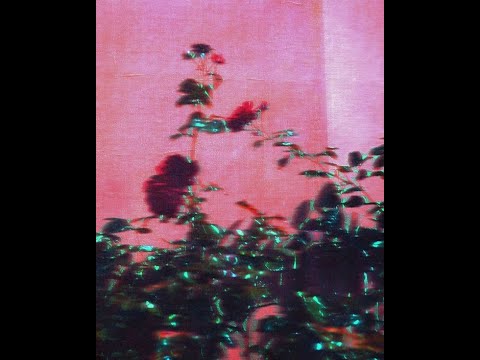 [free] (5+) guitar loop kit 2023 - "Pink Punk Vol. 2" (pop punk, punk rock, alternative rock)