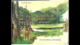 Secrets of Redding Glen by Jo Polseno
