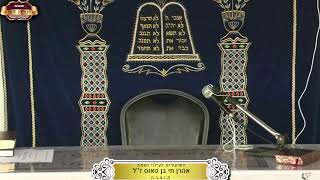 בית המדרש "תורת דוד" ¤ שידור חי ¤ כ"א אדר תשפ"ו (10.3.2025) (מוסדות תורת דוד) - התמונה מוצגת ישירות מתוך אתר האינטרנט יוטיוב. זכויות היוצרים בתמונה שייכות ליוצרה. קישור קרדיט למקור התוכן נמצא בתוך דף הסרטון