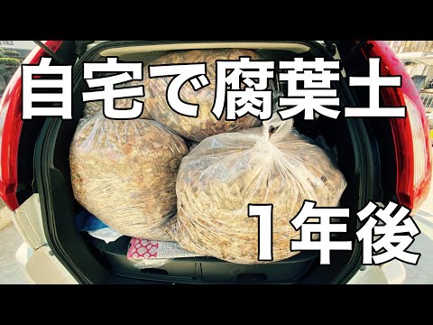 枯れ葉で培養土を作る理由と作り方は？  庭園